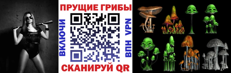 Псилоцибиновые грибы мицелий  где купить наркоту  Павловский Посад 