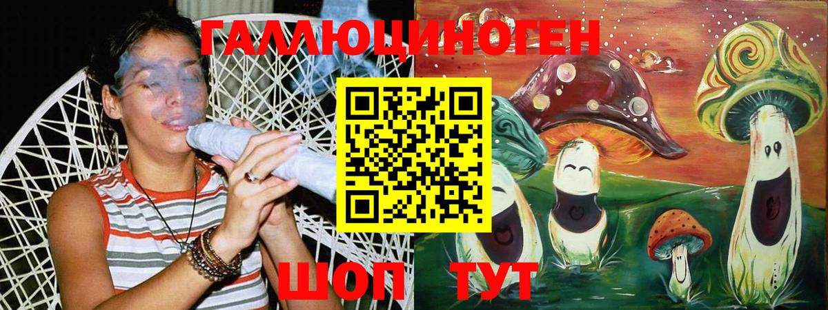 Павловский Посад  Галлюциногенные грибы Psilocybe  Вход с VPN 