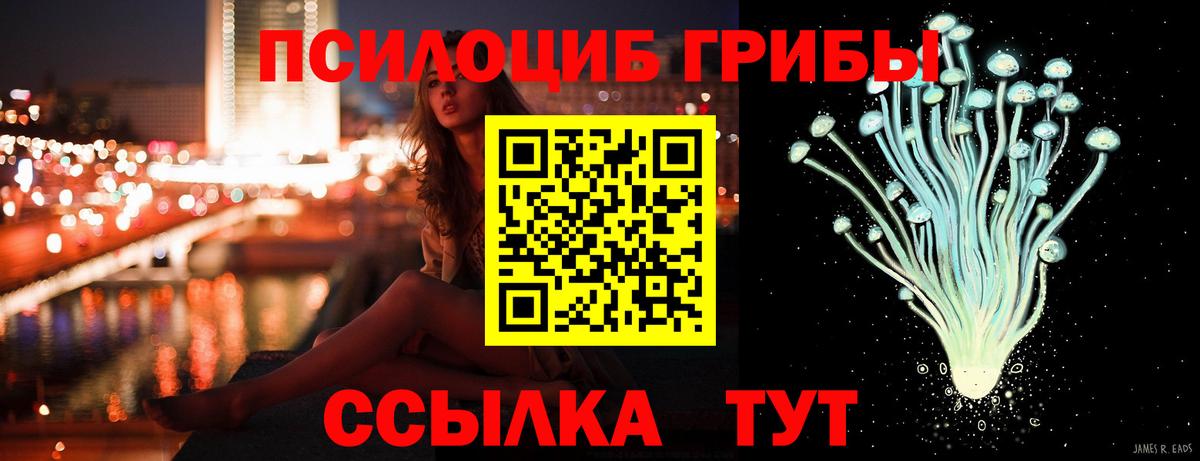 Галлюциногенные грибы мицелий Павловский Посад